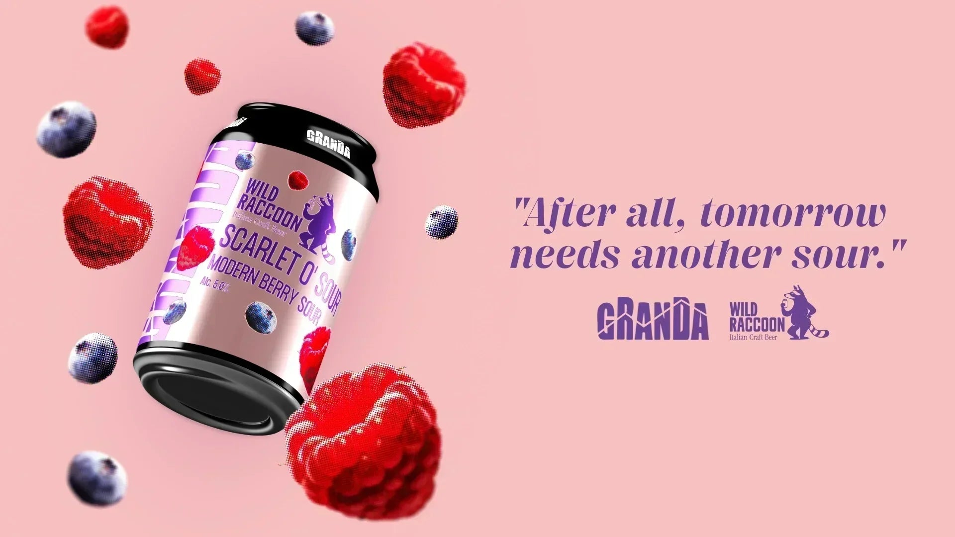 Birra Artigianale in lattina Modern sour